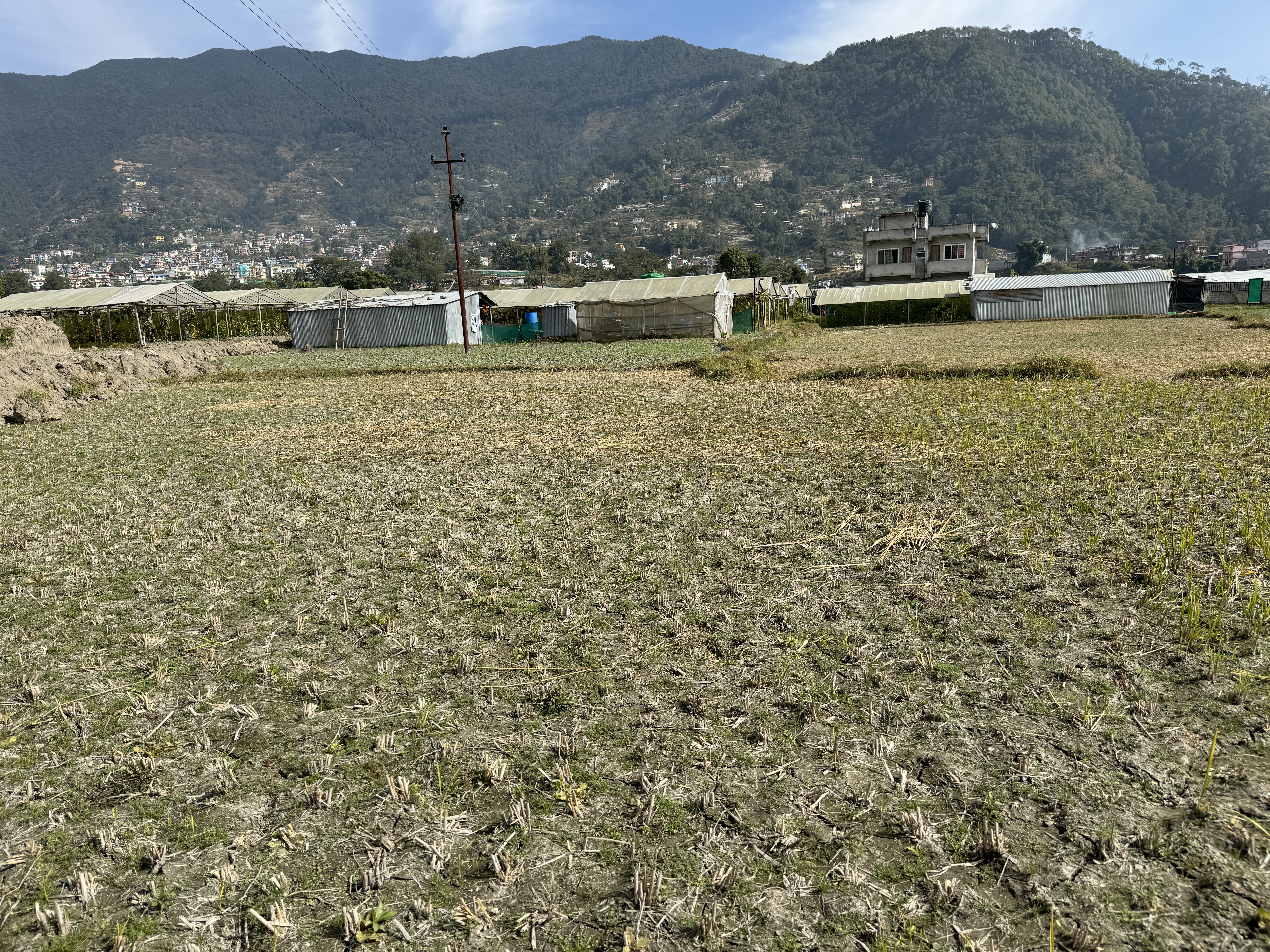 Picture of Tokha Municipality, Bagmati